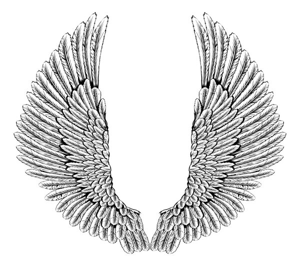 Eagle or angel wings
