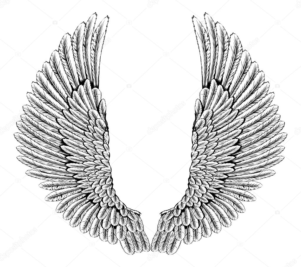 Eagle or angel wings