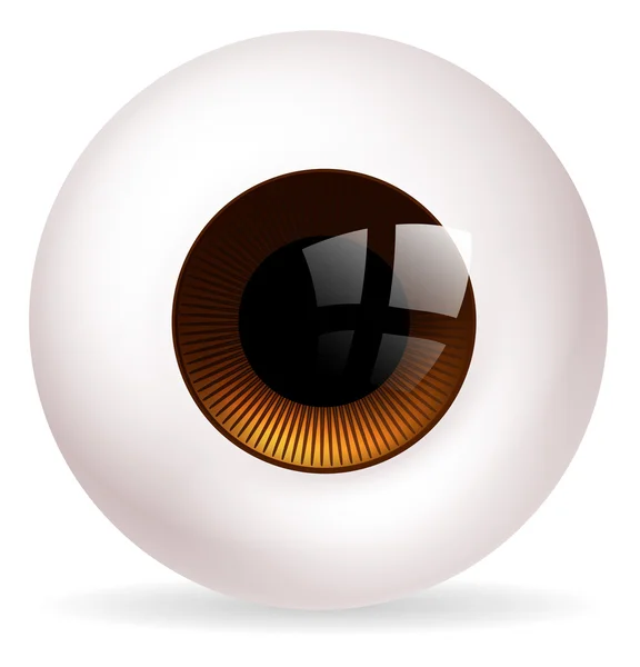 Eye ball — Stock Vector