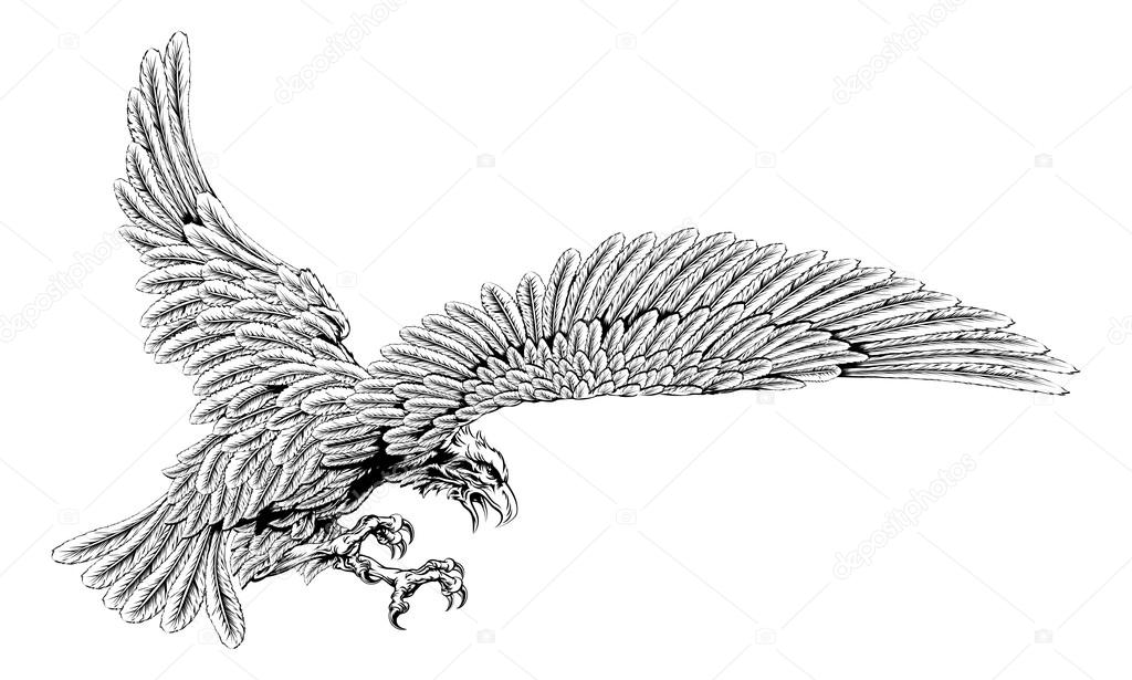 Swooping eagle