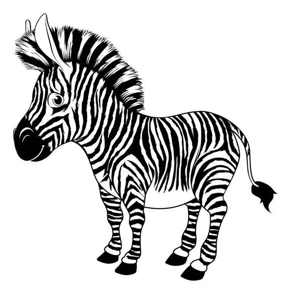 Svart och vit tecknad zebra — Stock vektor
