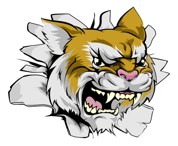 Голова дикой кошки проходит сквозь стену
