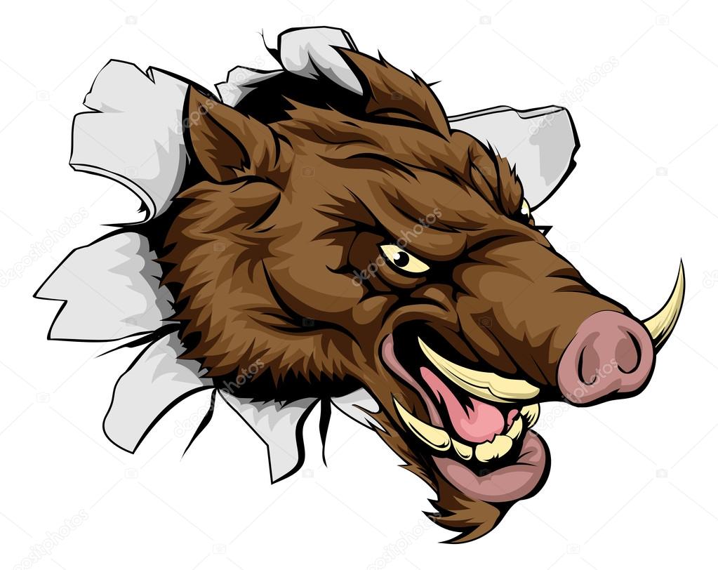 A cartoon mean Boar sports mascot bursting out of the wall or background