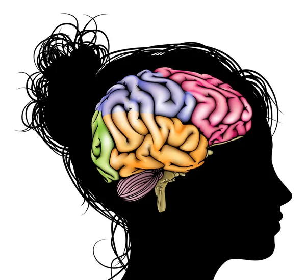 Vrouw hersenen concept — Stockvector