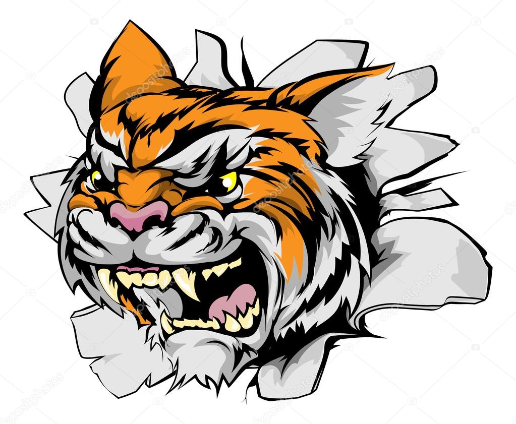 Tiger sports mascot breakthrough concept of a tiger sports mascot or character breaking out of the background or wall
