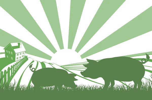 Silhouette pigs on farm — Stock Illustration Silhouette pigs on farm Royalty Free Stock Illustrations