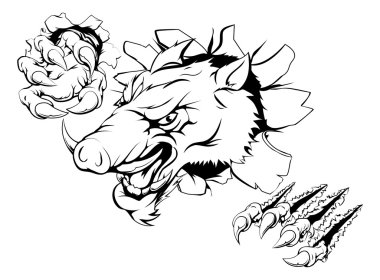 Yaban domuzu canavar duvardan smashing