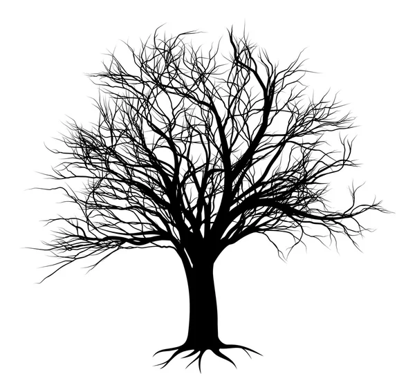 Sílhueta das árvores — Vetor de Stock