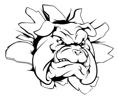 Bulldog mascot breaking through wall