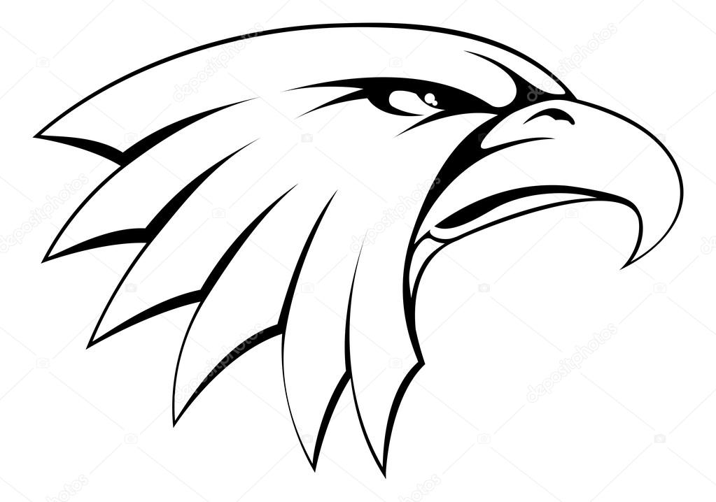 eagle head sketch