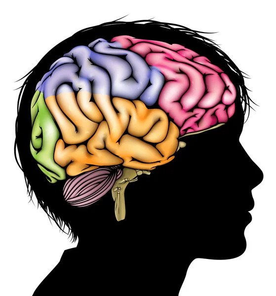 Concepto de cerebro infantil — Archivo Imágenes Vectoriales