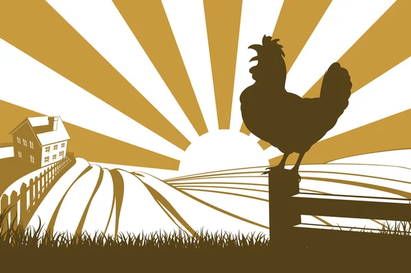 Gallo silueta de pollo canto — Archivo Imágenes Vectoriales