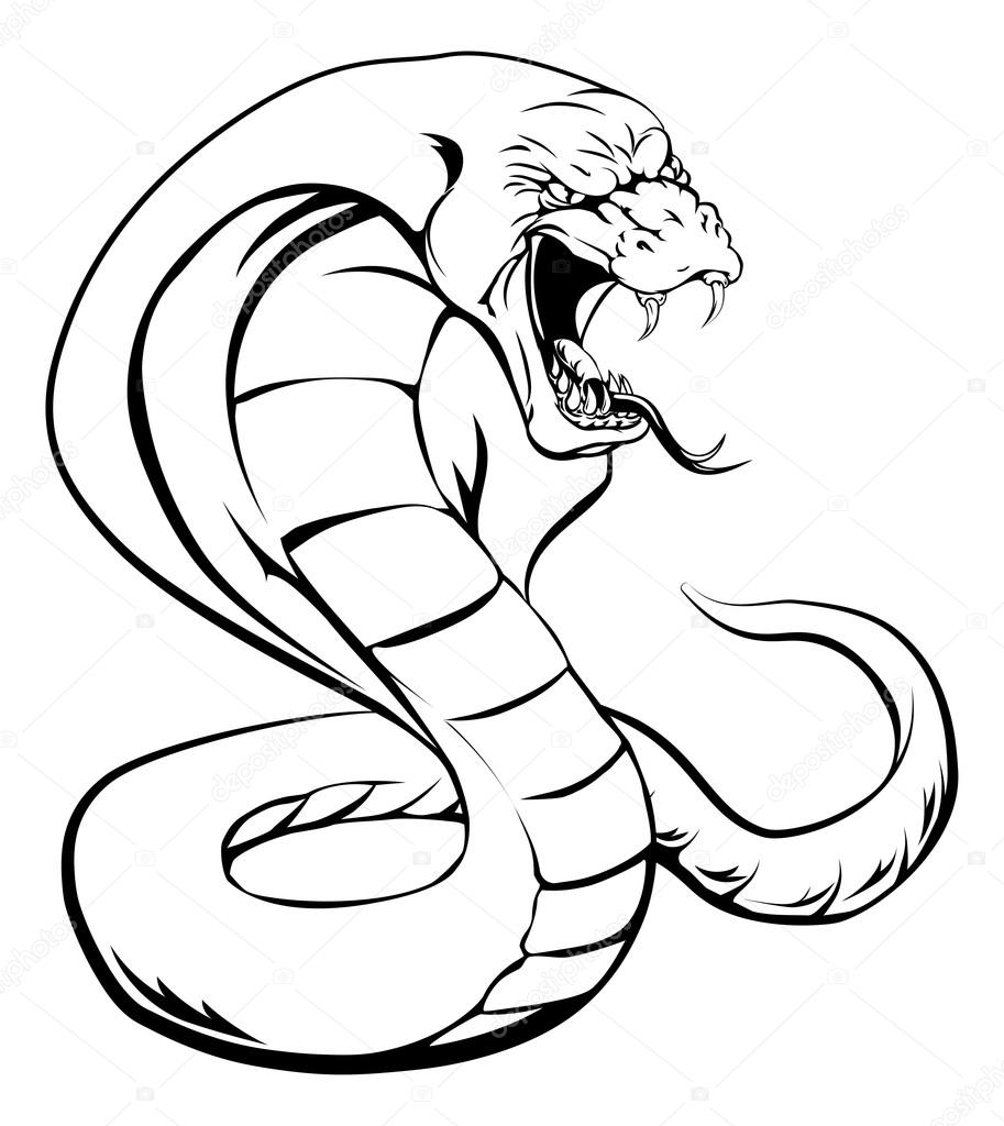 A cobra snake with hood up and tongue out about to strike