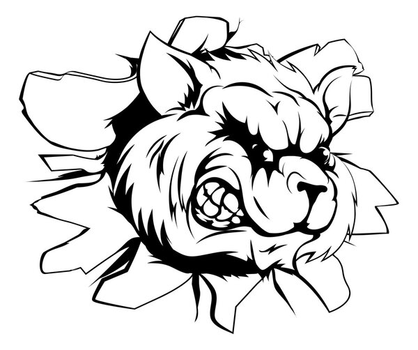 Талисман енота пробивает стену
