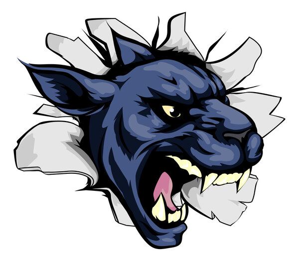 Прорыв в спортивном талисмане пантеры
