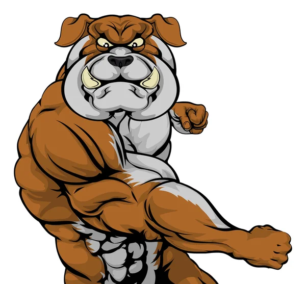 Bulldog mascota atacando — Vector de stock