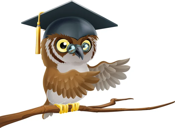 Owl graduate or teacher — Stock Vector
