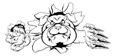 Duvardan çökmesini bulldog