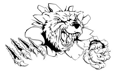 Ayı Pençesi atılım