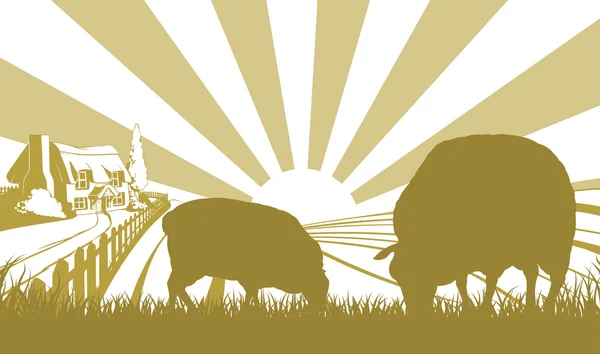 Sheep in farm field scene — Stock Vector