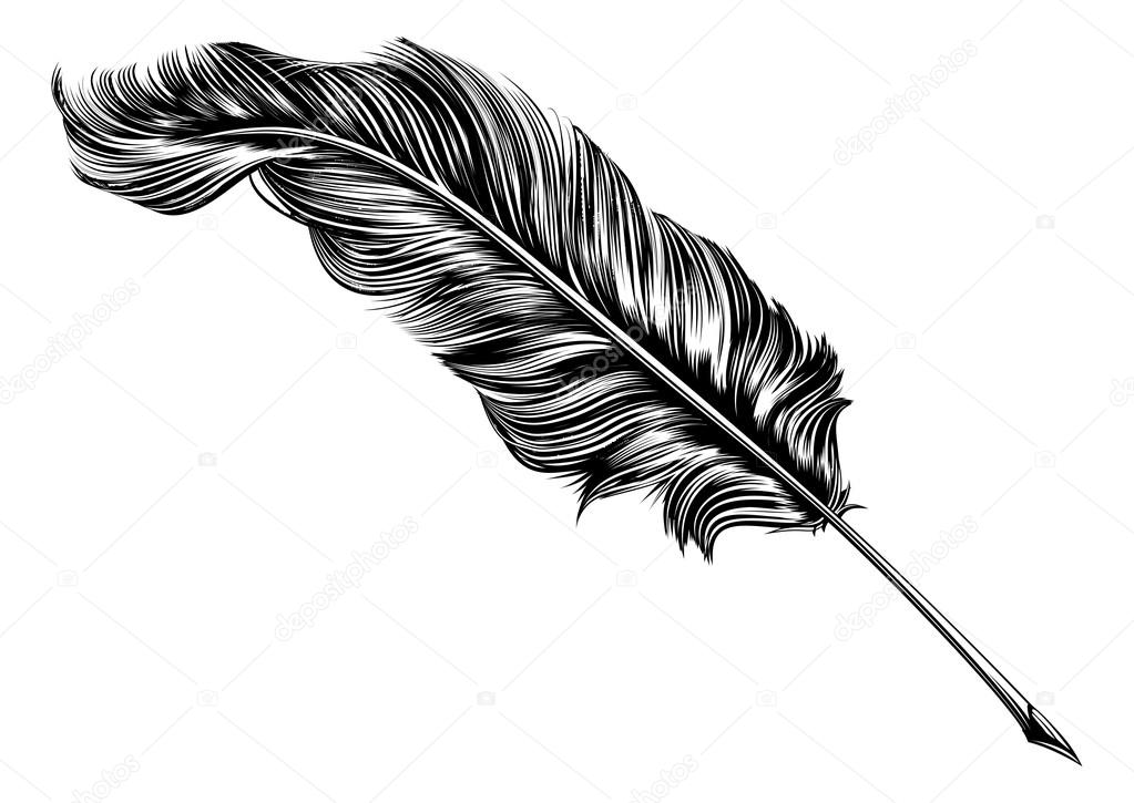 Vintage feather quill pen illustration