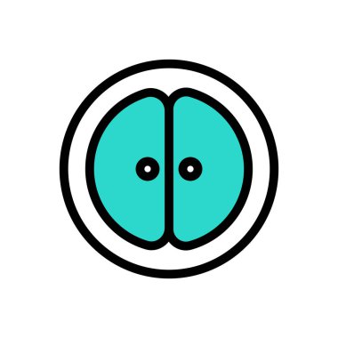 bereket vektörü renk çizgisi simgesi