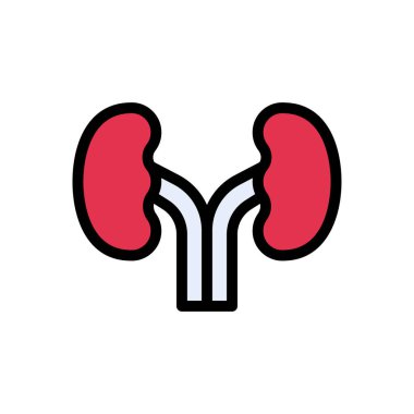 Web sitesi tasarımı ve masaüstü zarfları için böbrek simgesi, geliştirme. Premium paketi.