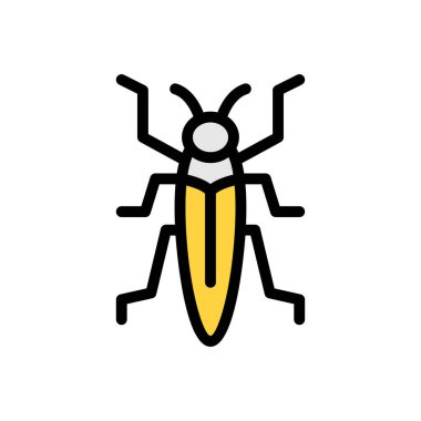 Web sitesi tasarımı ve masaüstü zarfları için böcek simgesi, geliştirme. premium paket.