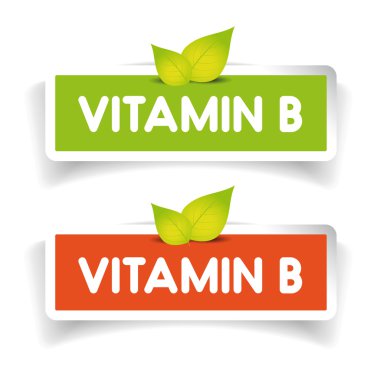 B vitamini etiket vektör set