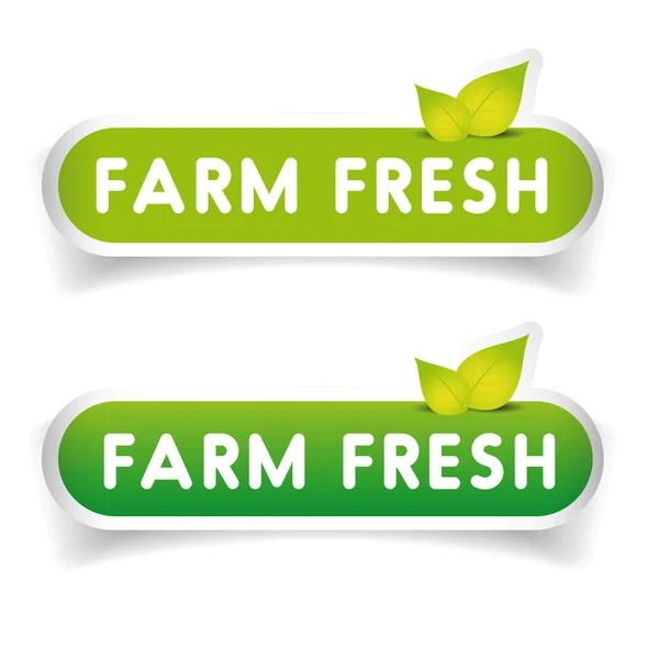 Farm friss címke vektor készlet — Stock Vector