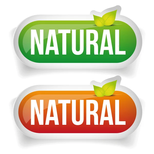 Bouton naturel vert avec feuille — Image vectorielle