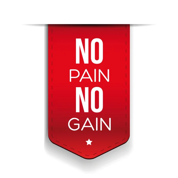 No Pain No Gain - workout and Fitness Motivation Quote — Stock Vector