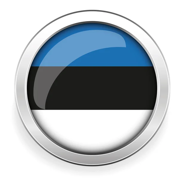 爱沙尼亚国旗银按钮 — 图库矢量图片