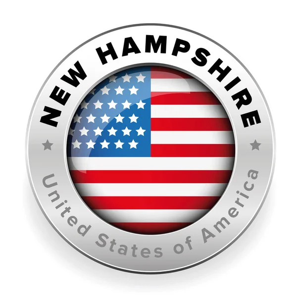 ニューハンプシャーアメリカ国旗バッジベクトル — ストックベクタ