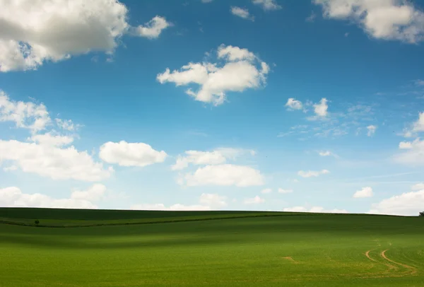 Πράσινο πεδίο με μπλε ουρανό — Φωτογραφία Αρχείου