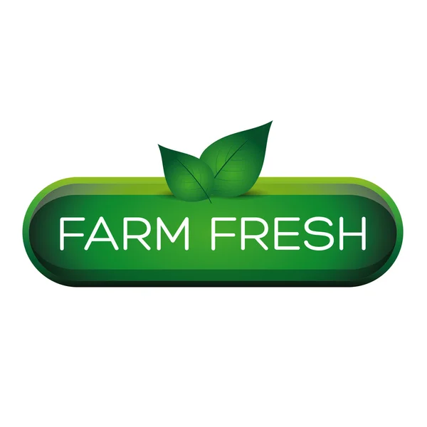 Green farm fresh button with leafs — Stock Vector