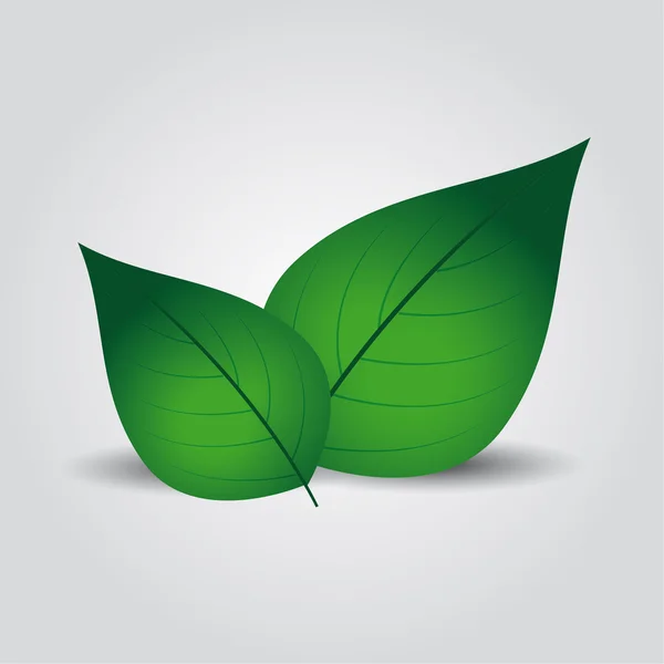 Vector leaves green — Stock Vector