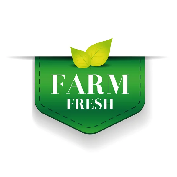 Farm Fresh ribbon vector green — Stock Vector