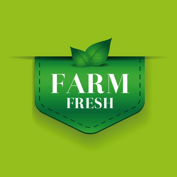 Farm Fresh ribbon vector green — Stock Vector