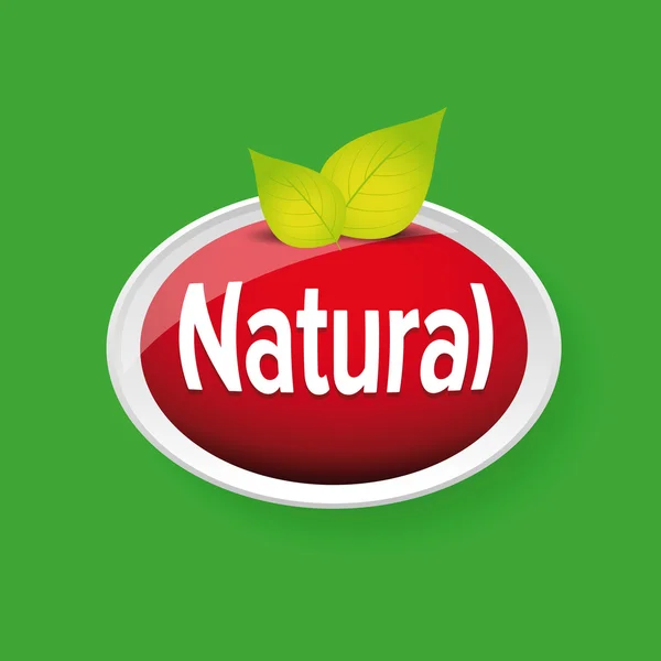 Etiqueta natural vector con hoja — Archivo Imágenes Vectoriales