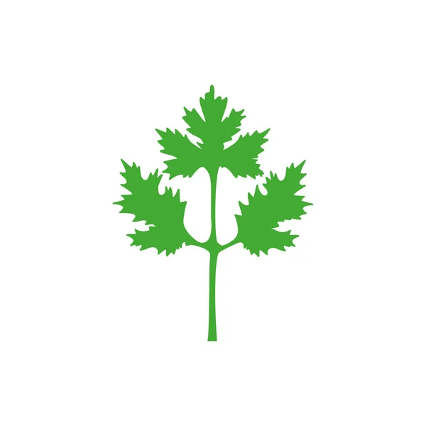 コリアンダーのアイコン 緑のパセリの葉のベクトル図白に隔離された チラントロのシンボル — ストックベクタ