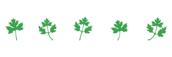 Set Icona Verde Coriandolo Prezzemolo Lascia Illustrazione Vettoriale Isolata Bianco — Vettoriale Stock