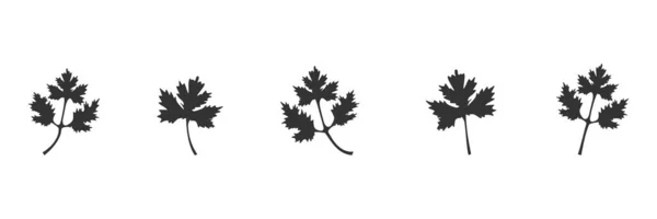 Conjunto Iconos Negro Cilantro Perejil Deja Ilustración Vectorial Aislada Blanco — Vector de stock