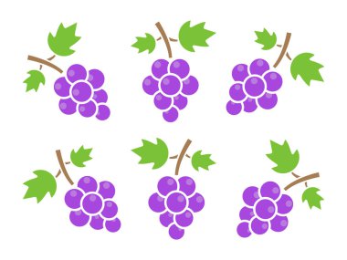 Mor üzüm ikonu seti. Meyve grubu vektör illüstrasyonu. Farklı menekşe üzüm bağları. Taze sağlıklı gıda konsepti.