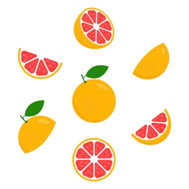 Greyfurt taze dilimler seti. Sağlıklı yiyecek grubu konsepti. Beyaz arkaplanda izole edilmiş Citrus vitamin c vektör çizimi. 