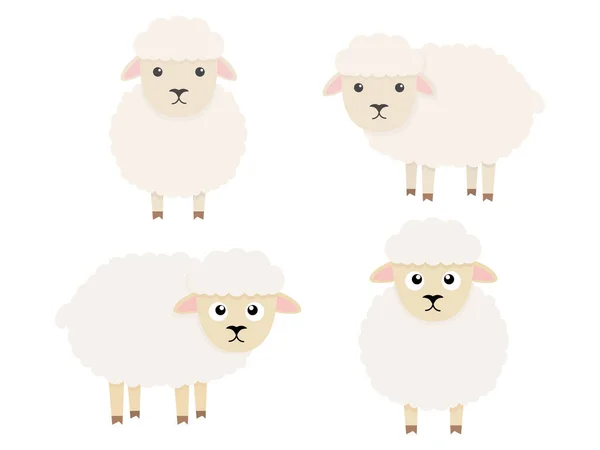 Cute Sheeps Character Set Cartoon Farm Animals Collection Vector Illsutration — Stock Vector