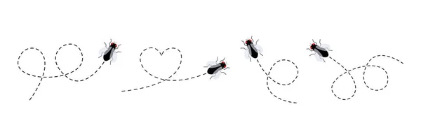 Fliegensymbole Gesetzt Fliegeninsekten Fliegen Auf Einer Punktierten Route Vektor Illustration — Stockvektor