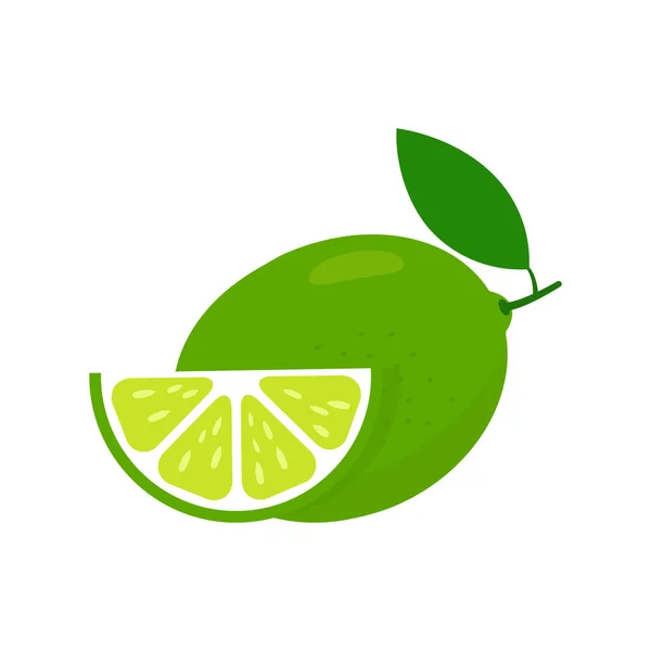 Lime Fresh Slices Set 切利姆水果片作为柠檬汁 维生素C柑橘类图标在白色背景下被分离的载体图解 — 图库矢量图片