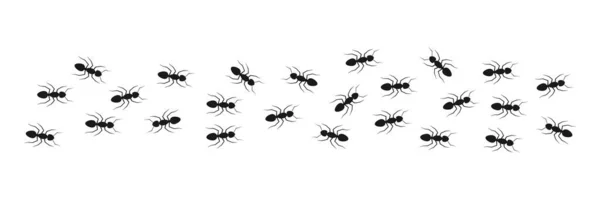 工蚁的队伍炭疽的符号 一群黑蚂蚁 在白色上孤立的向量图 — 图库矢量图片