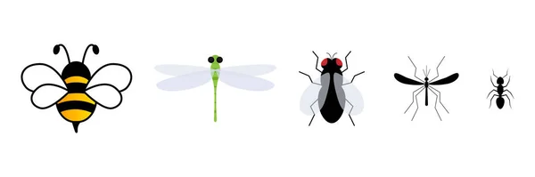 Cute Insect Flat Character Set Cute Bee Dragonfly Fly Mosquito — 스톡 벡터
